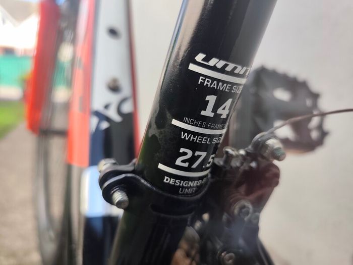 Teenager bike