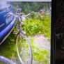 high nelly bikes Image 2