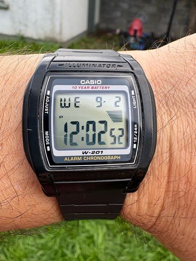 Casio W201