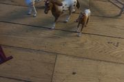 Schleich horse and jump set