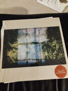 Erland Cooper music for growing flowers  lp 2022