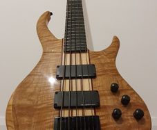 Bass Guitar