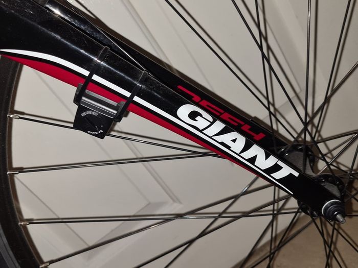 Giant Defy Road Bike