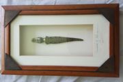 Frame with Croc
