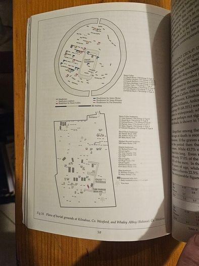 Wicklow Anthology And History Volume 1 1998. Edited By Christiaan Corlett & Aiden O'sullivan. Large Volume Paperback In Good Condition.  See Photos For Same.