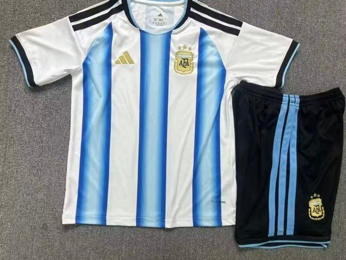 Argentina ( Kids Full Kit ) With Socks , 12/13 Yrs