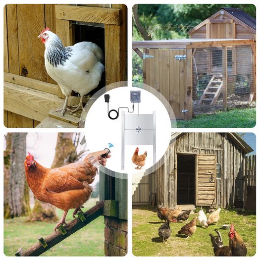 EU Stock Upgraded Timing Control Chicken House Automatic Door Opener 110-220V Pets Dog Door Opener Power Failure Protection