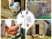 EU Stock Upgraded Timing Control Chicken House Automatic Door Opener 110-220V Pets Dog Door Opener Power Failure Protection