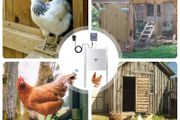 EU Stock Upgraded Timing Control Chicken House Automatic Door Opener 110-220V Pets Dog Door Opener Power Failure Protection