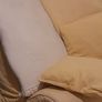 couch free Image 4