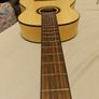 Flamenco/Classical Guitar Image 5