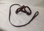 Small leather dog harness