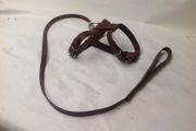 Small leather dog harness