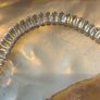 Betty & Biddy Baguette crystal cut bracelet Image 5