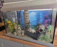 fish tank