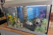 fish tank