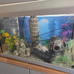 fish tank