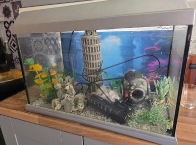 fish tank