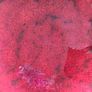 Bowl Image 6