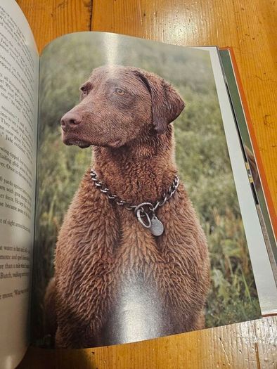Just Dogs. A Literary And Photographic Tribut To The Great Hunting Breeds. First Edition Large Volume Hardback With Dustjacket In Good Condition.  See Photos For Same.