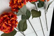 4 Large Hydrangeas