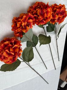 4 Large Hydrangeas