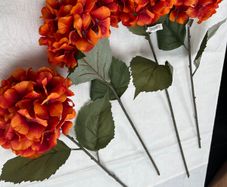 4 Large Hydrangeas
