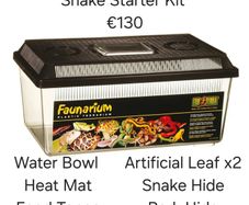Corn Snake Medium Exoterra starter kit
