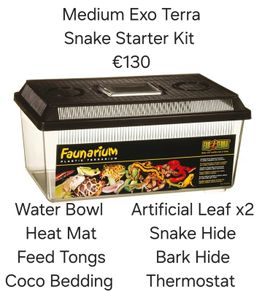 Corn Snake Medium Exoterra starter kit