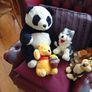 Teddys, soft toys, Teddy Bears. Image 7