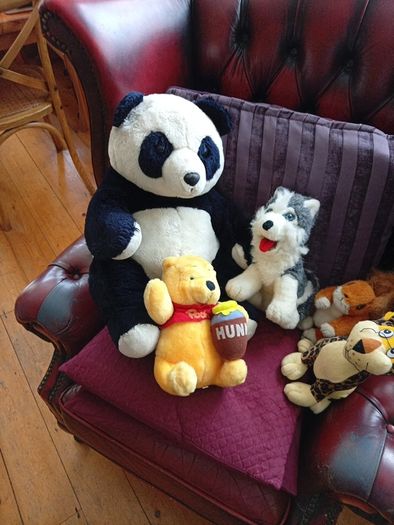 Teddys, soft toys, Teddy Bears.