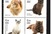 2014 Ireland Cats (Maine Coon, Burmese, British Shorthair &amp; Persian) Commemorative Stamps Mint Never Hinged (MNH)