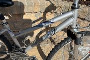 Girls raleigh bike