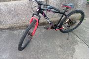 adults bike