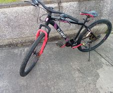 adults bike