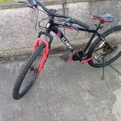 adults bike
