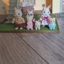 sylvanian family bundle Image 4