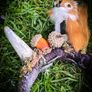 Fantasy Antler Squirrel Headband Costume Cosplay Larp Acorns Dreadwrap Extension Mystical Elf Forest Fairy Image 10