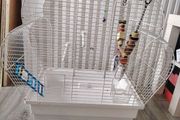 Parrot cage