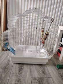 Parrot cage