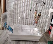 Parrot cage