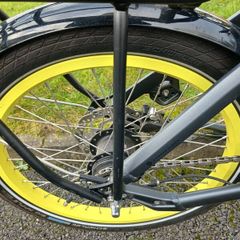Electric bicyle