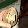 Old High Nelly Bicycle Light, Glass in good also Postage Available Image 3