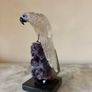 Clear Quartz Parrot on Deep Purple Amethyst Geode Base Image 3
