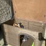 Dog Kennel for sale Image 2