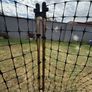 chicken fencing Image 8