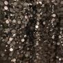 Coast velvet and sequin  dress Image 2
