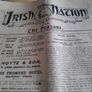 the irish nation papper Image 7