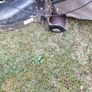 Lawnmower Image 5