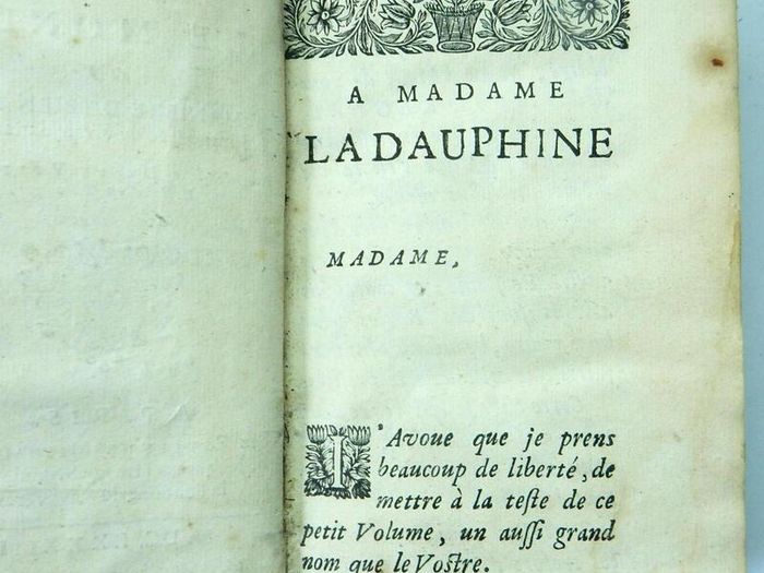 Rare Antique Book, Printed 1683, La Vie Reglee dans le Monde, French, gold tooling, raised bands, vintage book, old leather, 17th century, first edition,